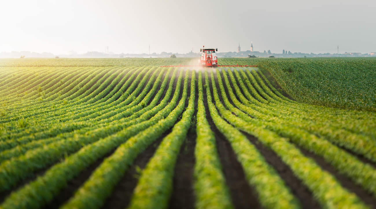 L'agriculture biologique, la solution la plus rationnelle pour réduire l'usage des pesticides