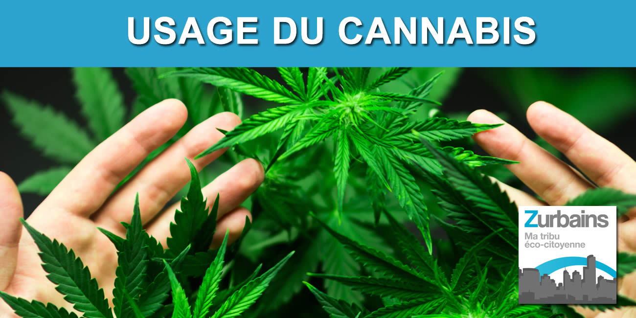 Le cannabis récréatif légalisé en Allemagne dès ce 1er avril 2024