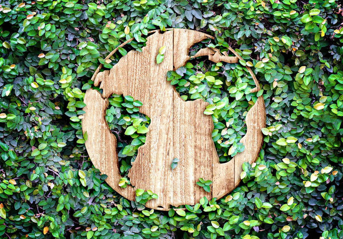 L'environnement serait-il vraiment la première préoccupation des Français ? Difficile à croire L'environnement serait-il vraiment la première préoccupation des Français ? Difficile à croire