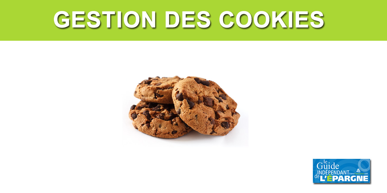 Amendes records contre Google et Shein Amendes records contre Google et Shein