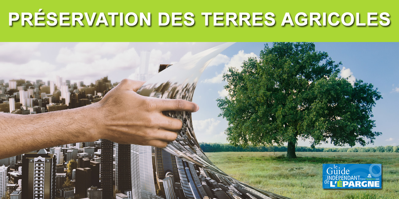 Centres commerciaux / artificialisation des sols : la France est allée trop loin Centres commerciaux / artificialisation des sols : la France est allée trop loin