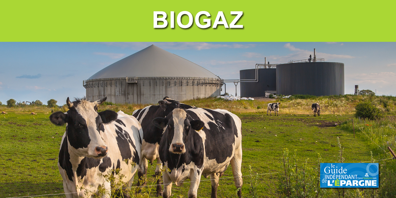 Biogaz : l'État continuera de soutenir son cours en l'achetant au prix fort