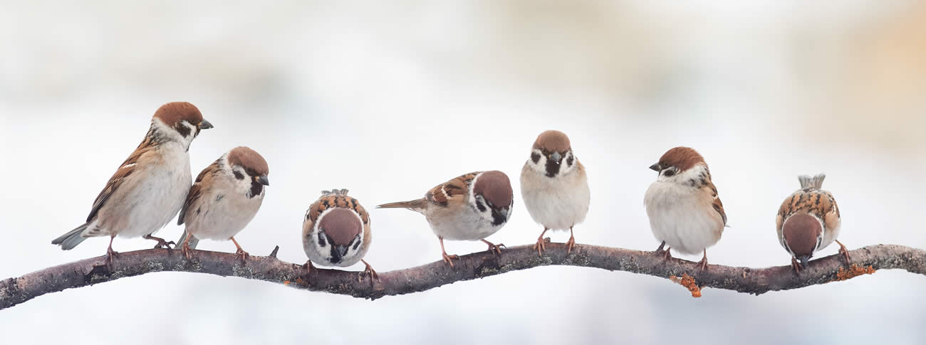 Weekend de l'Ascension, profitez d'une pause biodiversité sur certaines aires d'autoroutes ! Weekend de l'Ascension, profitez d'une pause biodiversité sur certaines aires d'autoroutes !