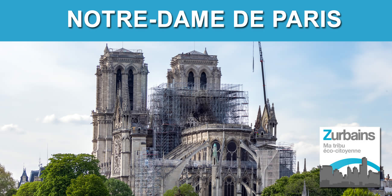 Restauration de Notre-Dame de Paris : les 1.200 chênes nécessaires ont été abattus