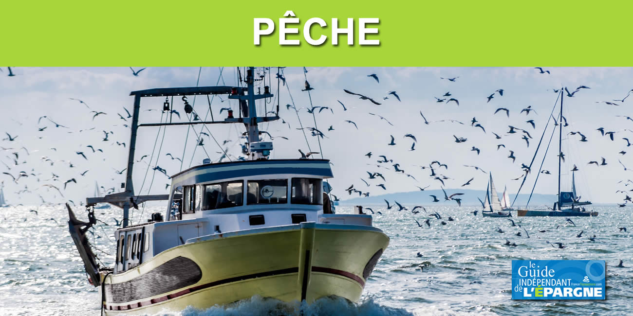 Pêcheurs : une aide financière de 35 centimes par litre de gasoil jusqu'au 31 juillet 2022