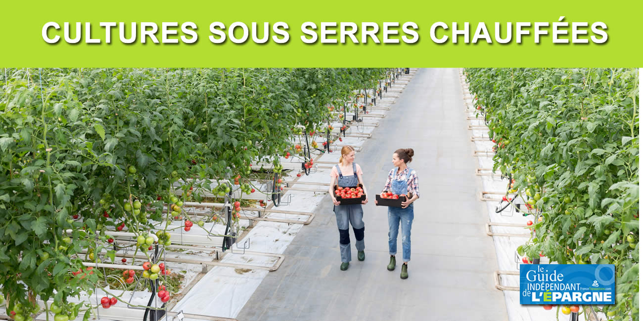 Flambée des prix de l'énergie : cultivés sous serres chauffées, les tomates, fraises, concombres, melons... Seront hors de prix, et c'est tant mieux ! Flambée des prix de l'énergie : cultivés sous serres chauffées, les tomates, fraises, concombres, melons... Seront hors de prix, et c'est tant mieux !