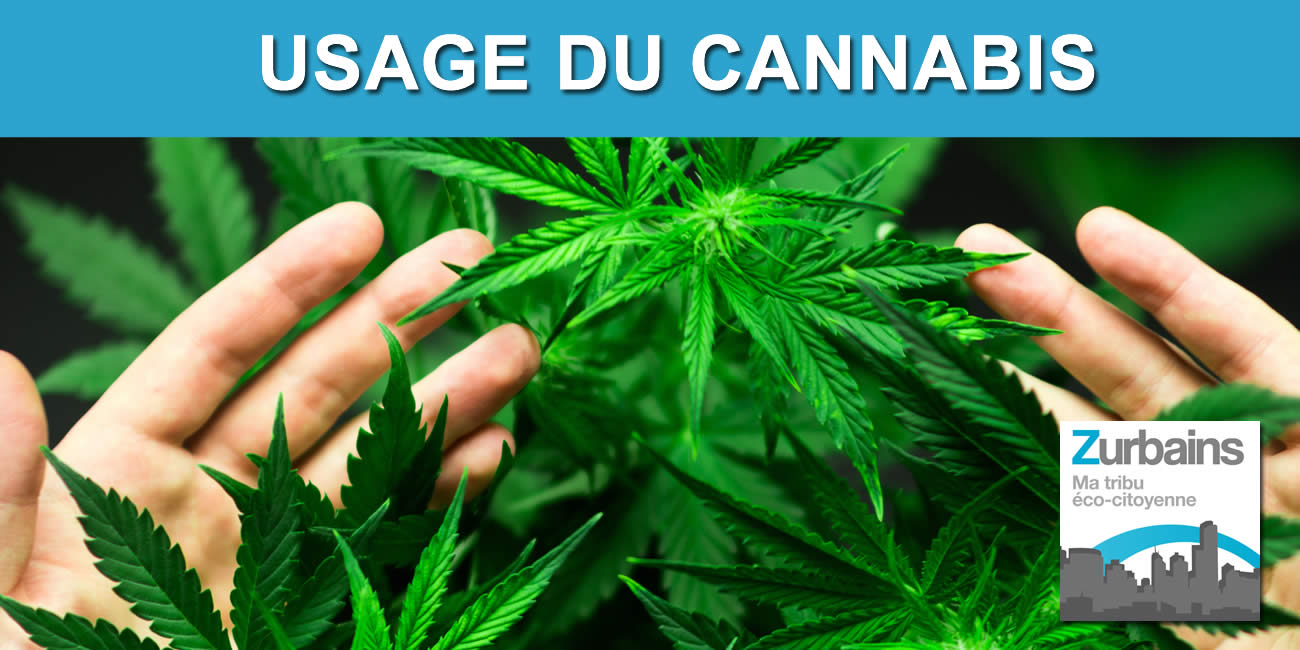 L'usage du cannabis à usage récréatif sera légal en Allemagne en 2024 L'usage du cannabis à usage récréatif sera légal en Allemagne en 2024