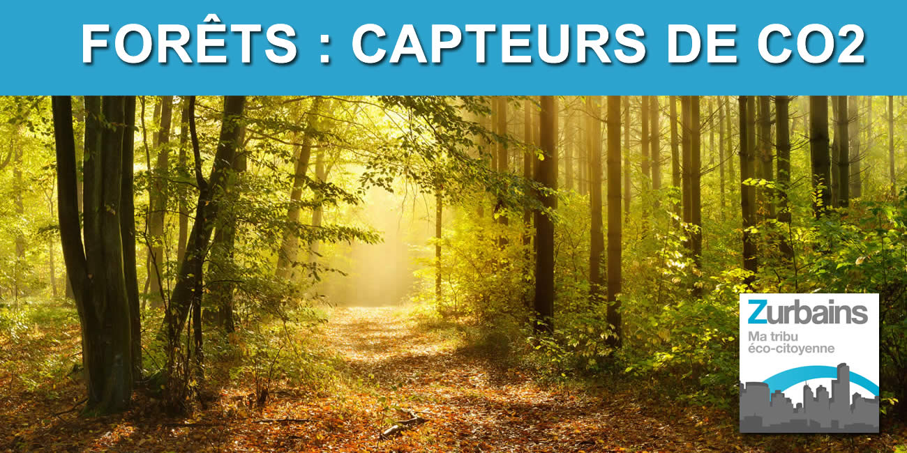 Journée des forêts, 21 mars, mais en France, la journée dure une semaine : du 18 au 26 mars 2023