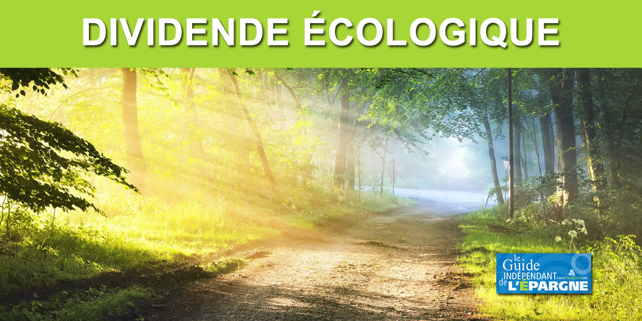 Dividende sociétal et écologique : une parade contre le greewashing ? Dividende sociétal et écologique : une parade contre le greewashing ?