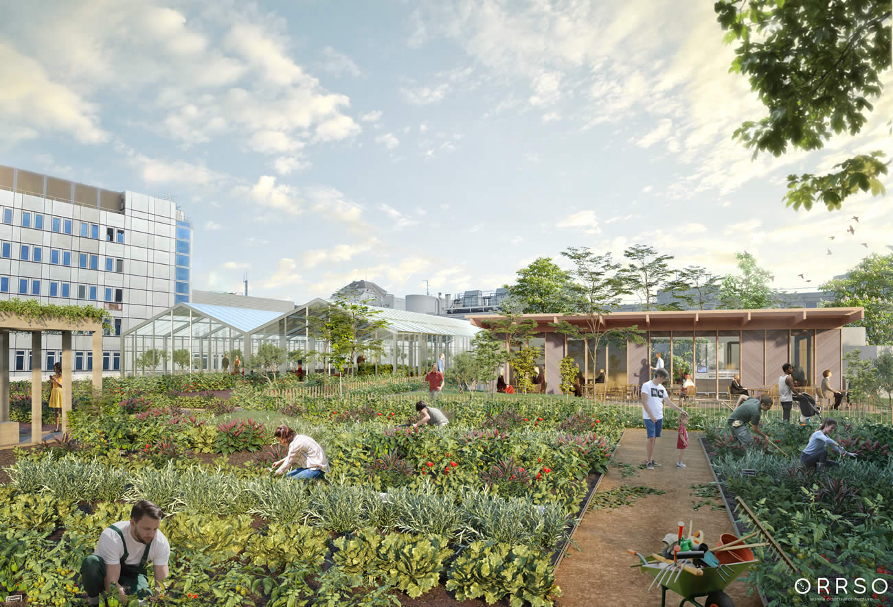 Métropole verte du Grand Paris : Noisy-le-Grand récompensée pour son projet innovant de quartier durable