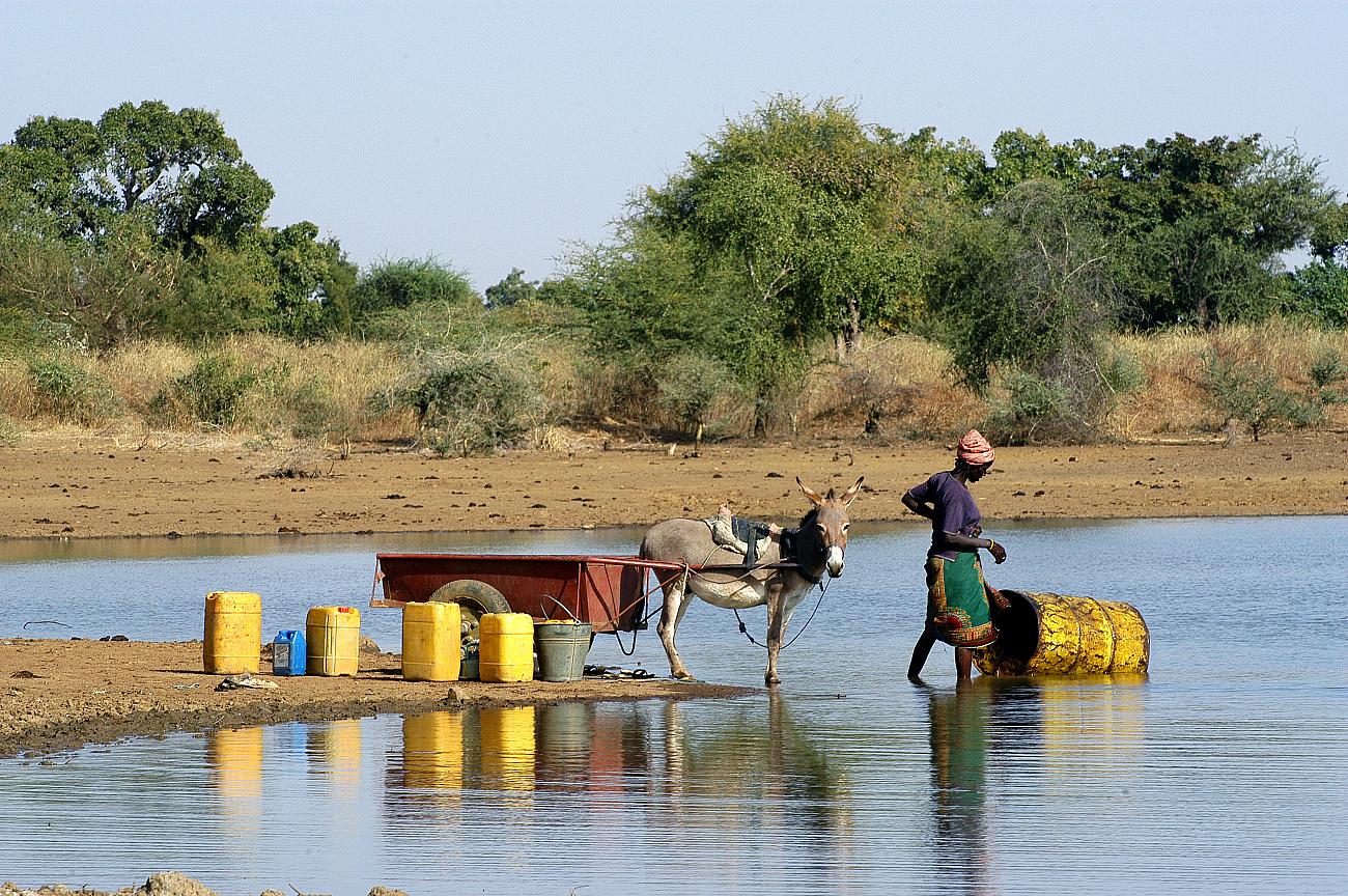La bonne gestion de l'eau en Afrique, clé de la compétitivité agricole