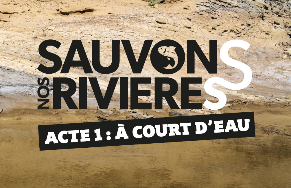 #SauvonsNosRivieres : protections des zones humides, les pêcheurs lancent l'alerte pour notre survie ! #SauvonsNosRivieres : protections des zones humides, les pêcheurs lancent l'alerte pour notre survie !