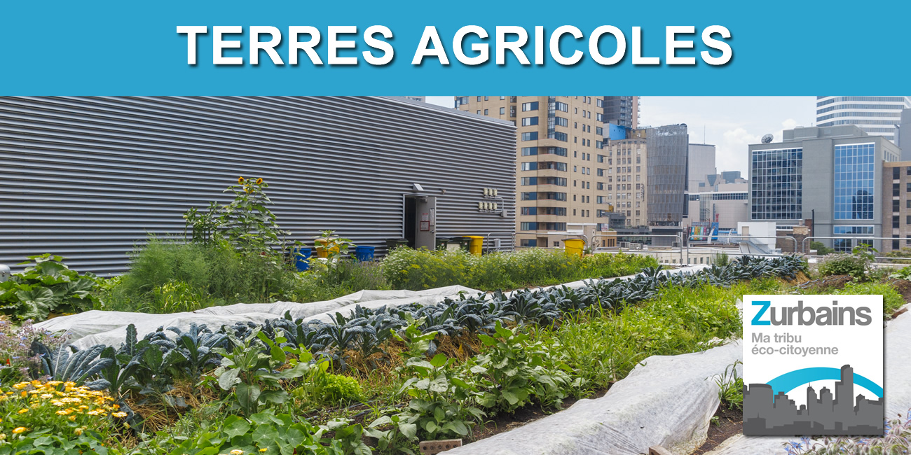 Préservation des terres agricoles : la plateforme collaborative RÉCOLTE recueille les initiatives foncières Préservation des terres agricoles : la plateforme collaborative RÉCOLTE recueille les initiatives foncières