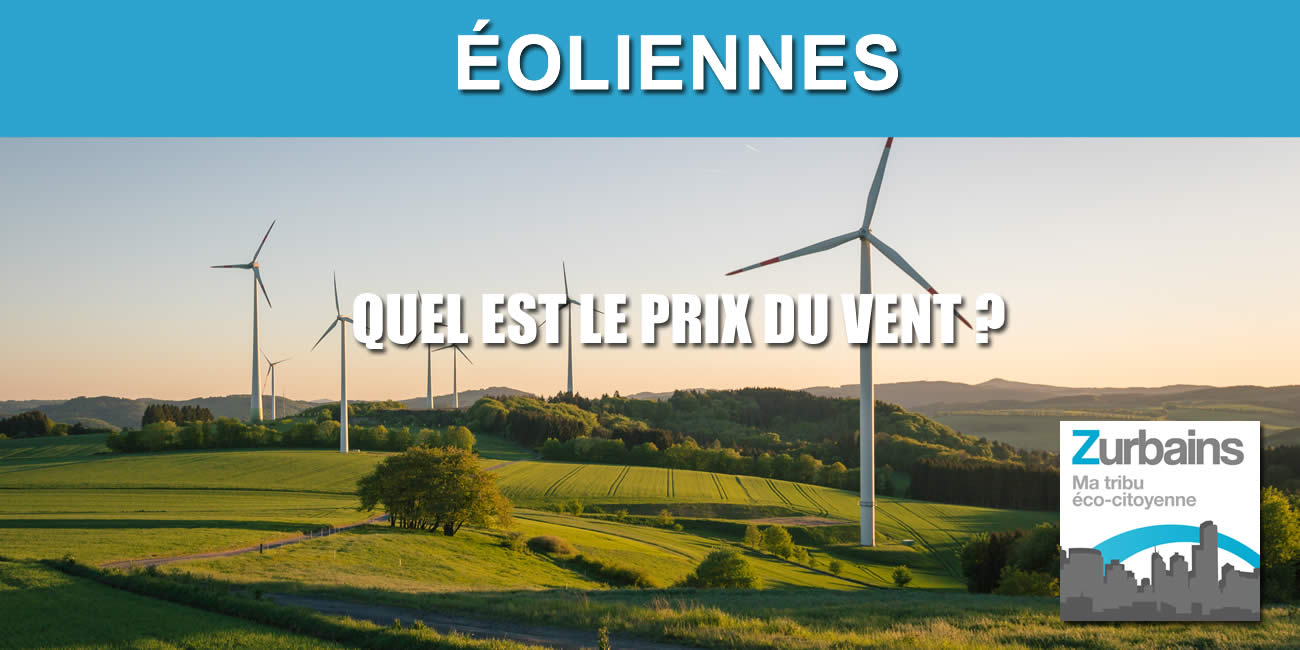 Quel est le prix du vent ? Une enquête sur les installations de parcs éoliens dans des milieux ruraux Quel est le prix du vent ? Une enquête sur les installations de parcs éoliens dans des milieux ruraux