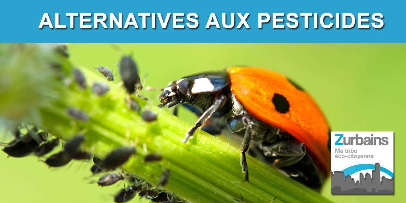 Alternatives aux pesticides : un semaine de 10 jours pour convaincre Alternatives aux pesticides : un semaine de 10 jours pour convaincre