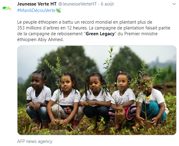 353 millions d'arbres plantés en seulement 12 heures en Ethiopie, un exemple à suivre ? 353 millions d'arbres plantés en seulement 12 heures en Ethiopie, un exemple à suivre ?