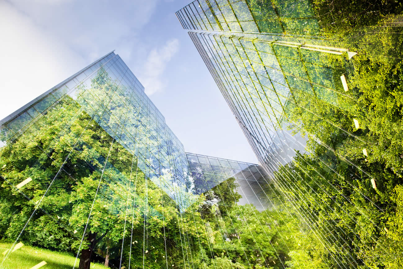De quoi se compose exactement la forêt urbaine ?
