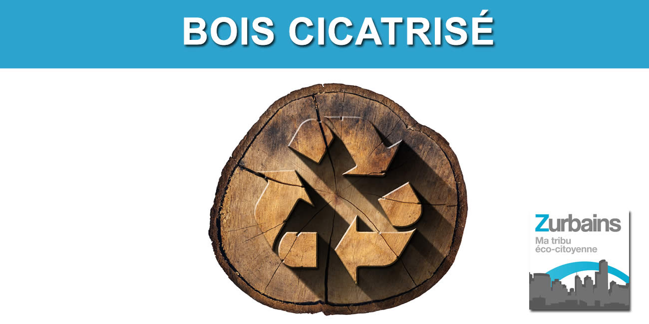 Les déchets de bois, une fois recyclés, peuvent devenir davantage résistants que l'acier ou les alliages de titane : le bois cicatrisé, un nouveau procédé