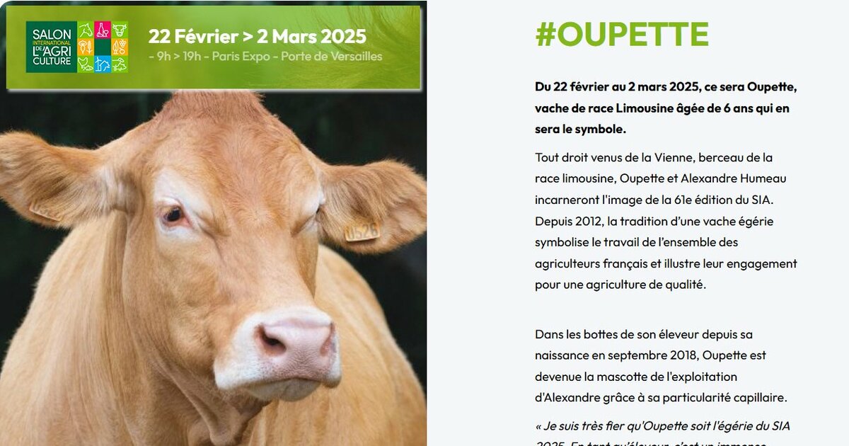 Salon de l'Agriculture 2025 : le prix des billets d'entrée est élevé