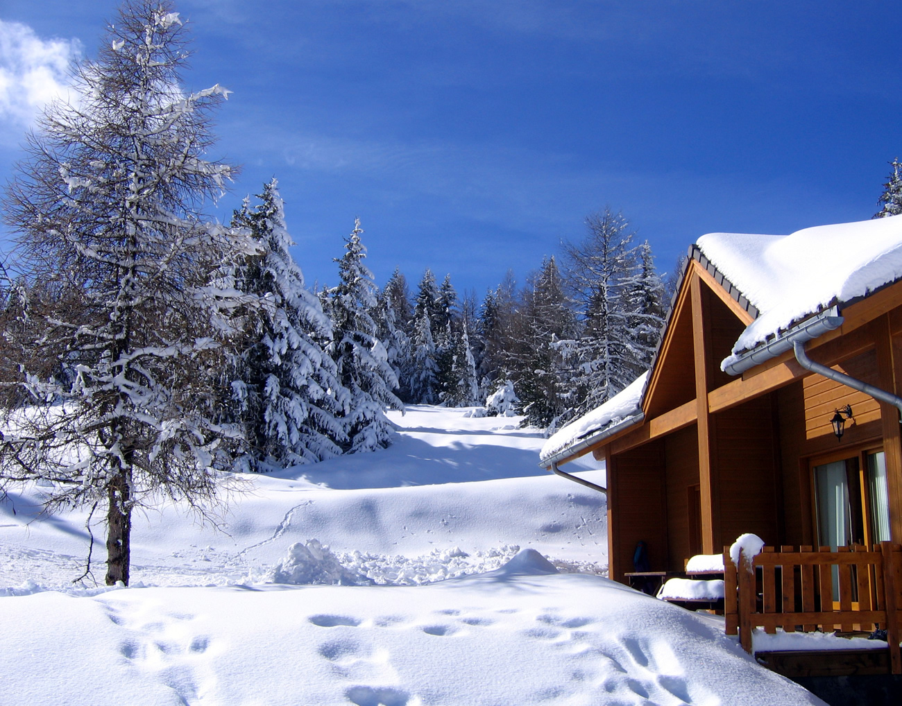 Carton plein pour ces vacances d'hiver 2025 : neige, soleil, fréquentation en forte hausse Carton plein pour ces vacances d'hiver 2025 : neige, soleil, fréquentation en forte hausse