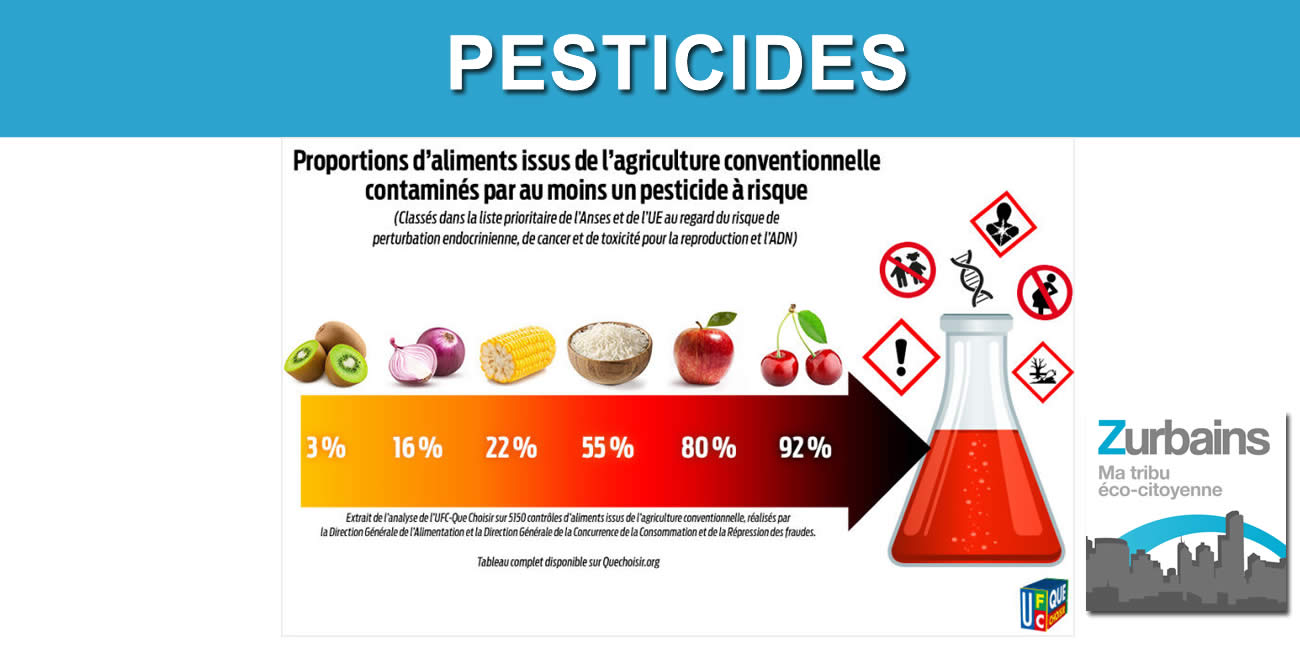 Fruits et légumes : faites le plein de pesticides ! Cerise sur le gâteau, la polémique enfle sur la dangerosité dénoncée, toute relative