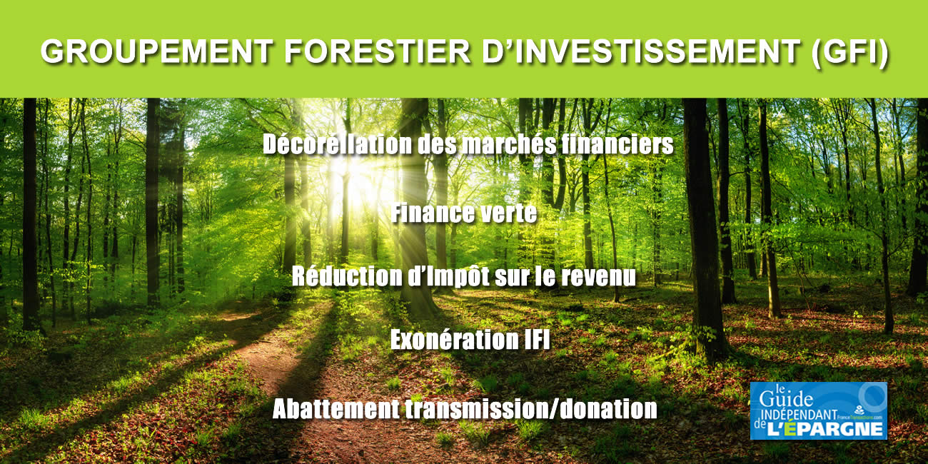 Finance verte : investir dans des forêts, tout en réduisant vos impôts ?