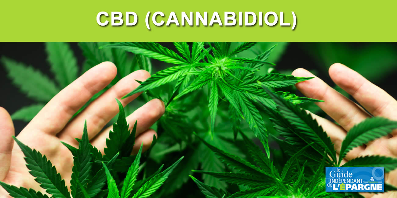 CBD : 41% des français déclarent utiliser le CBD dans un objectif purement professionnel... CBD : 41% des français déclarent utiliser le CBD dans un objectif purement professionnel...